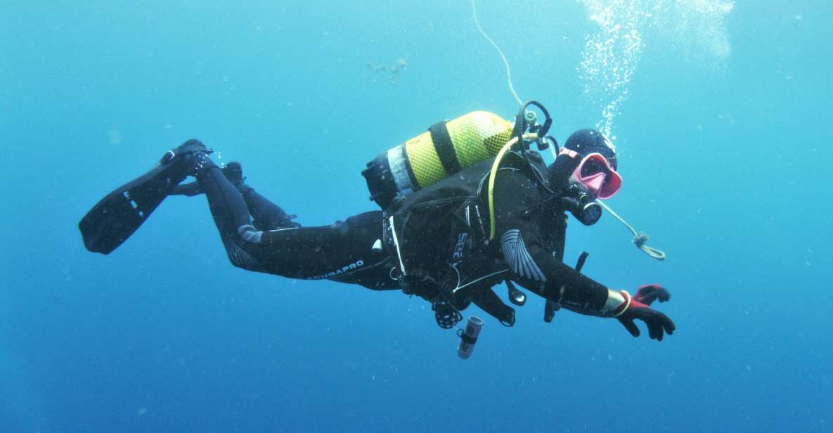 Gran Canaria: Morning Scuba Dive - Meet at Blue Water Diving: What the morning really looks like