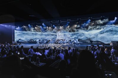 Gran Canaria: Origen Dinner Show at Sala Scala - The Four-Act Structure: How the Show Moves From Start to Finish