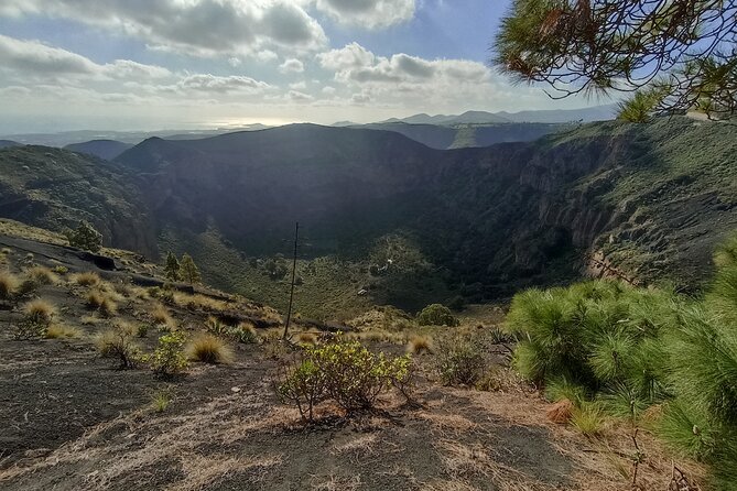 Gran Canaria Premium Tour: Volcanoes and Wine for cruisers - Why This Volcano and Wine Loop Feels Different From a Ship Excursion