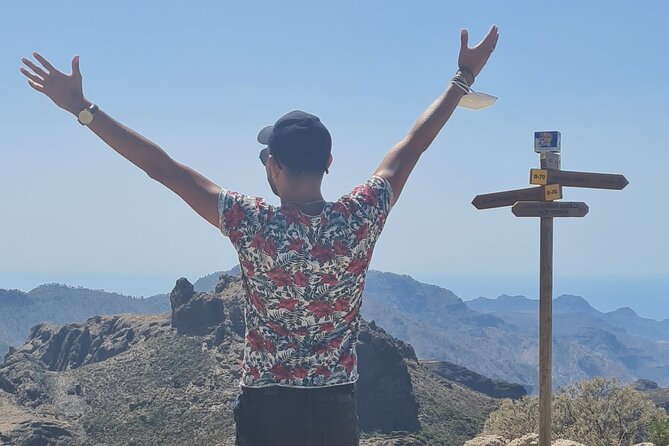 Gran Canaria Premium Tour: Volcanoes and Wine for cruisers - Pico de las Nieves and the Roque Nublo View Line