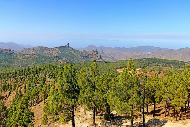 Gran Canaria Premium Tour: Volcanoes and Wine for cruisers - Caldera de Bandama: A 30-Minute Volcanic Classroom