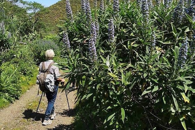 Gran Canaria private walks - The 9:00 am format and what a 7-hour day really means