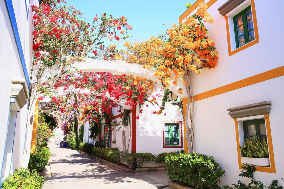 Gran Canaria: Puerto de Mogán Trip with 1-Way Boat Ride - Where the tour starts (and why Parque Tropical is the key)