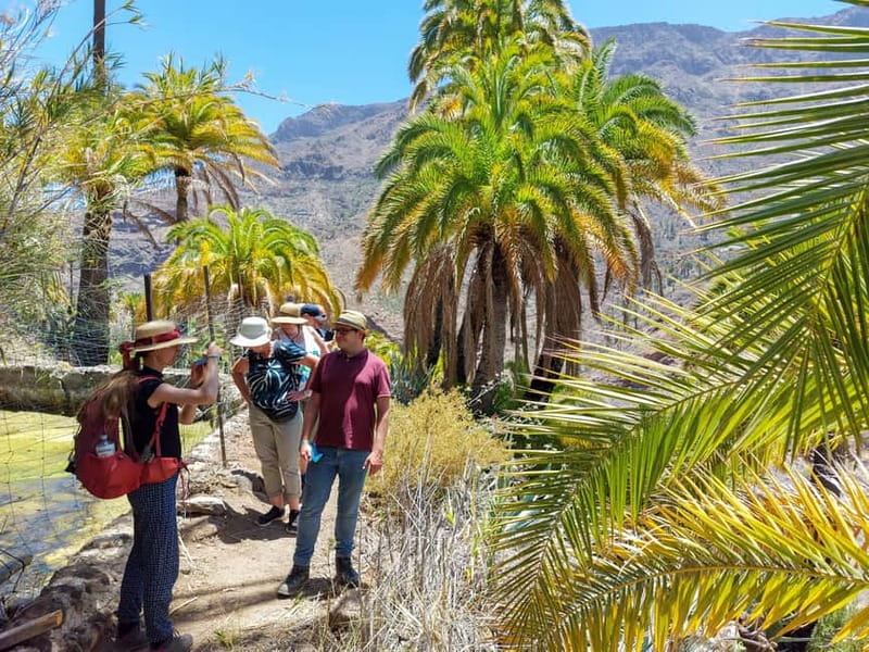 Gran Canaria: Red Gorge, Cave, Oasis Adventure Tour & Picnic - Santa Lucía de Tirajana photo stop plus food tasting: where the culture shows up