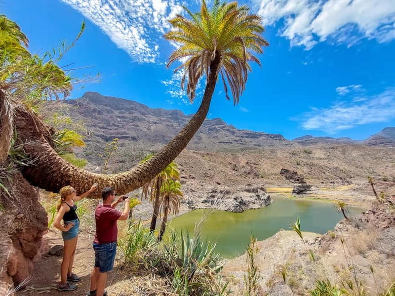 Gran Canaria: Red Gorge, Cave, Oasis Adventure Tour & Picnic - Red Gorge and the Barranco de las Vacas tuff ravine: the scenery you’ll remember