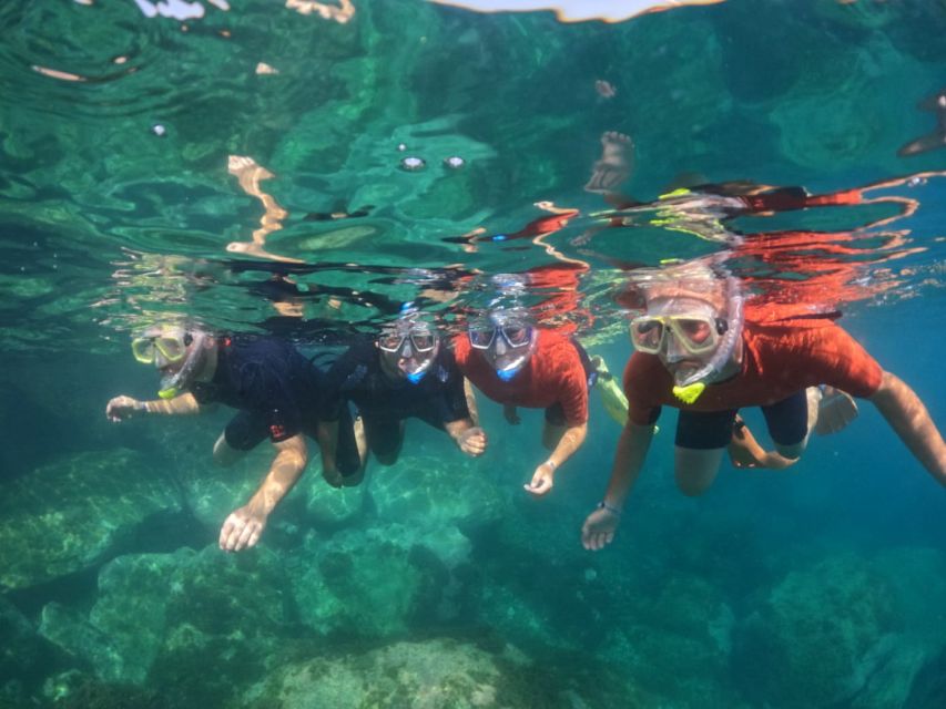 Gran Canaria: Snorkel tour with boat on the west coast - Why This West-Coast Snorkel Feels Better Than a Basic Beach Swim