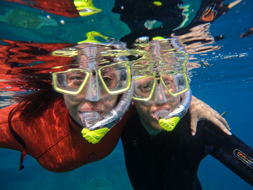 Gran Canaria: Snorkel tour with boat on the west coast - Puerto de Mogán Guided Time: Where the Biosphere Story Gets Real