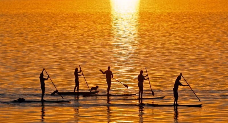 Gran Canaria: Stand-Up Paddle Lesson & Snorkeling Tour - Snorkeling time: fish spotting with gear provided