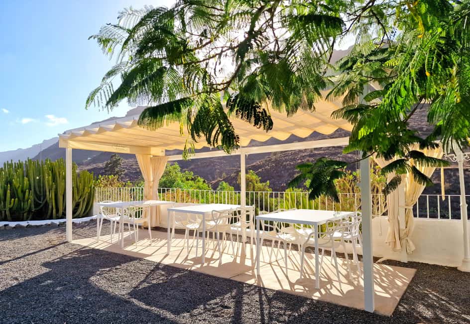 Gran Canaria: tasting wine & local cheese - Who should book this Gran Canaria wine-and-cheese hour