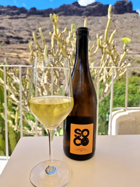 Gran Canaria: tasting wine & local cheese - Should you book the wine & local cheese tasting in Mogán?