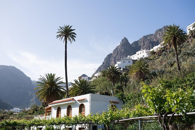 Grand Tour in Gran Canaria - The coast route: sea views, road time, and the pace you’ll feel