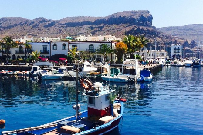 Grand Tour in Gran Canaria - Mogán, a port stop, and the mountain mineral viewpoint