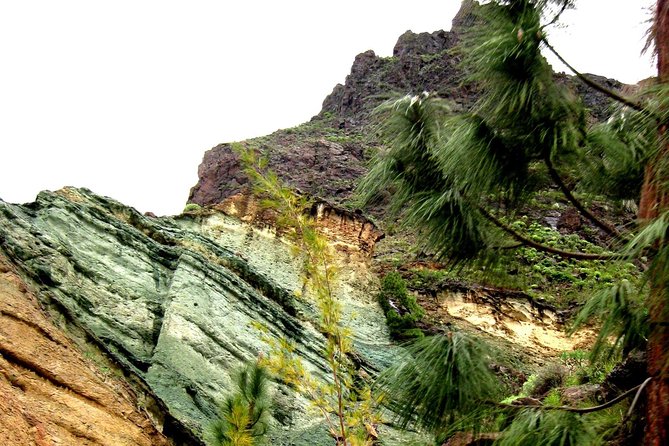 Grand Tour in Gran Canaria - Lunch in Agaete: budgeting the 11.50 meal option