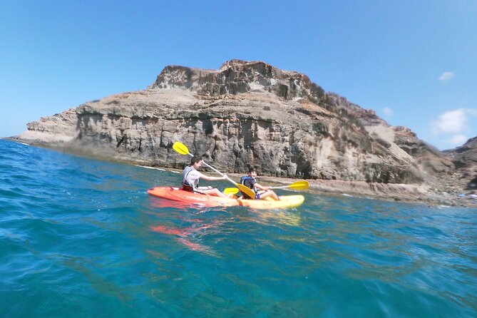 Guided Kayaking Trip in Gran Canaria - The real value question: what $74.65 buys you