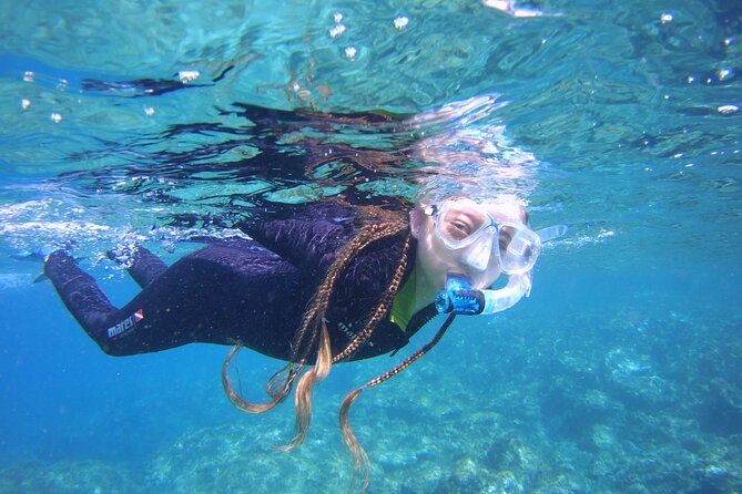 Guided Snorkelling Experience in South of Gran Canaria - Key highlights you’ll actually feel on the day