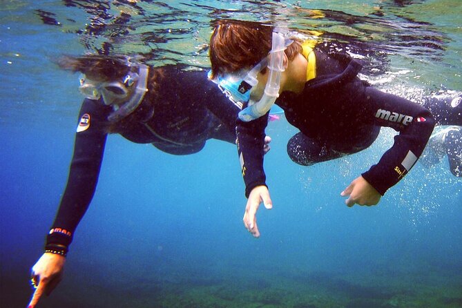 Guided Snorkelling Experience in South of Gran Canaria - Shore Snorkel at 8:30: Playa de Amadores and the calm-water approach