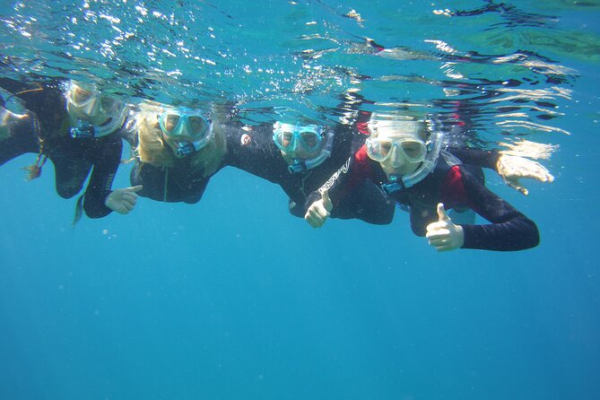 Guided Snorkelling Experience in South of Gran Canaria - What the 45 to 60 minutes in the water is really like