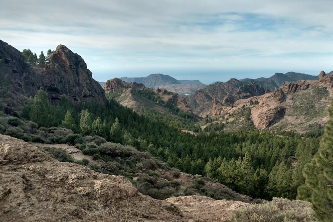 Guided tour: Discover Gran Canaria - A day that stitches Gran Canaria’s north and mountains together
