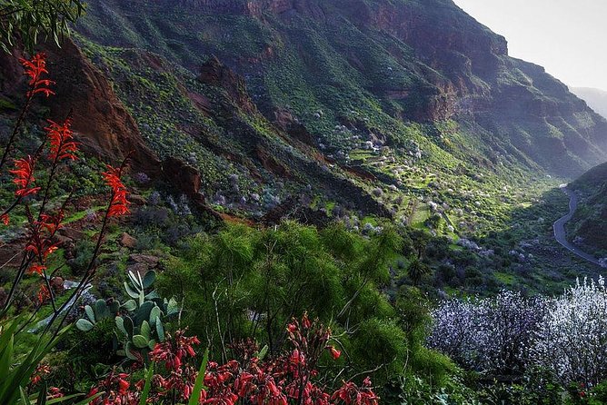 Guided tour: Discover Gran Canaria - Stop 2: Teror pilgrimage village with balconies and basilica