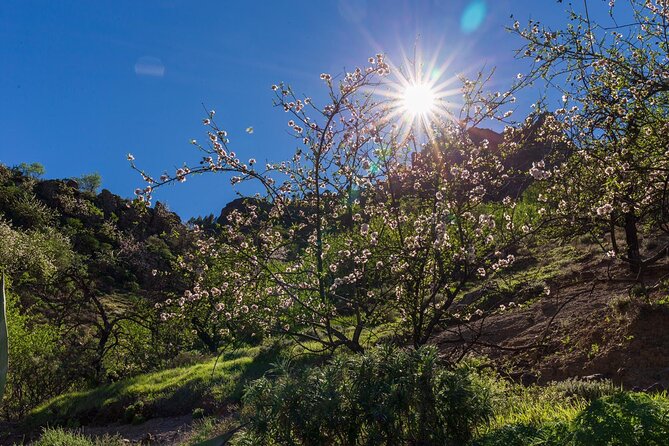 Hikes Roque Nublo - Key points at a glance