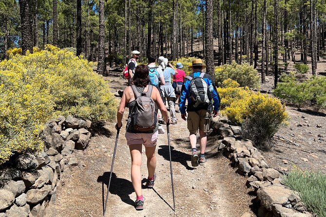 Hikes Roque Nublo - First impressions: what this hike is really about