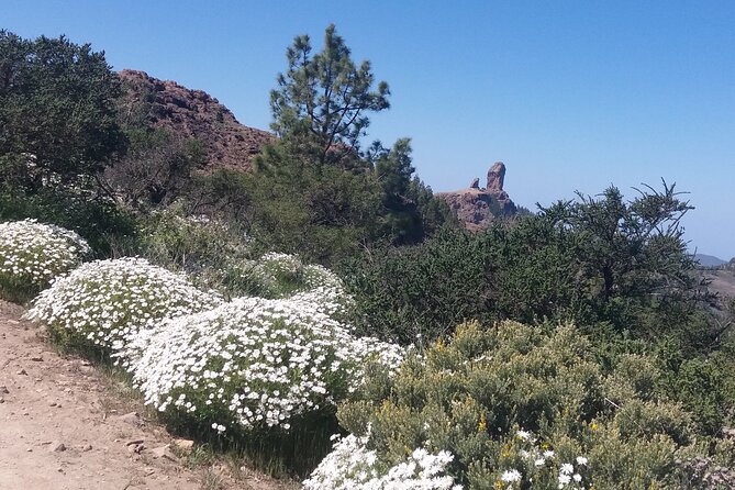 Hikes Roque Nublo - Price and value: is $106.04 actually fair?