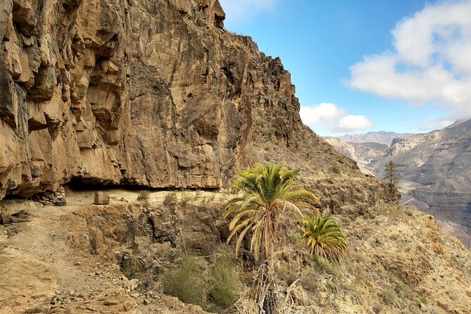 Hiking experience in the north of Gran Canaria - North Gran Canaria Hiking Route: What Makes It Different