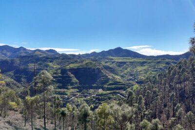Hiking experience in the north of Gran Canaria - Your Day’s Game Plan: From Maspalomas and Then a Route Chosen by Weather
