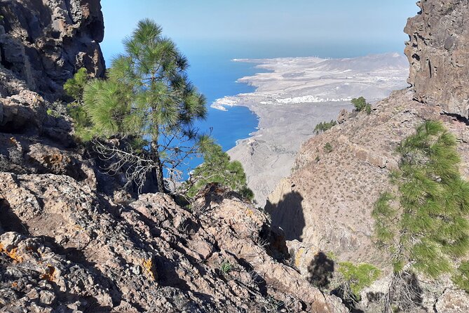 Hiking experience in the north of Gran Canaria - Clothing by Season: When You’ll Want Long Sleeves and a Windproof Layer