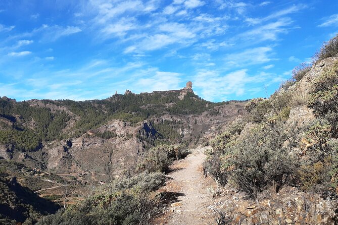Hiking experience in the north of Gran Canaria - Group Size, Pace, and Why the Guide’s Job Matters