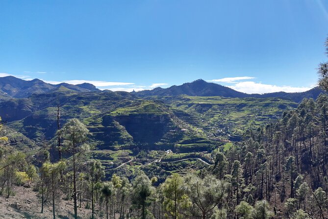 Hiking experience in the north of Gran Canaria - Your Day’s Game Plan: From Maspalomas and Then a Route Chosen by Weather
