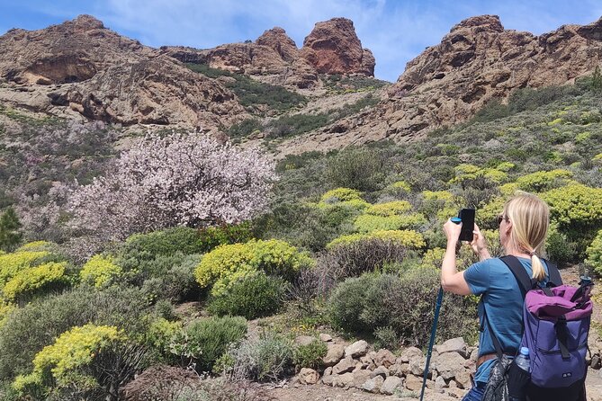 Hiking in the Sacred Mountains of Gran Canaria: UNESCO - Roque Bentayga Stop: When Views Start to Tell a Story