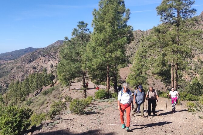 Hiking in the Sacred Mountains of Gran Canaria: UNESCO - Mesa de Acusa: Finishing With the Pre-Hispanic Edge of the Crater