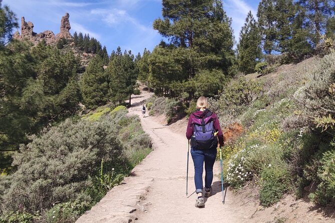 Hiking in the Sacred Mountains of Gran Canaria: UNESCO - Price and Value: What $107.17 Buys You Here