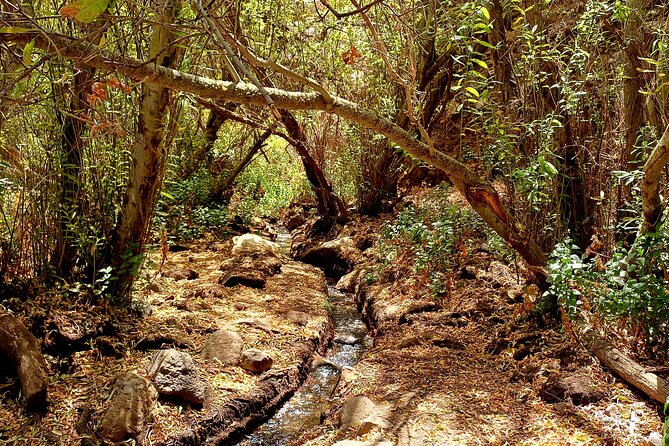 Hiking in Waterfalls & Rainforest with local guides: Sky Rebels - Inés and Juanjo: the local guide factor