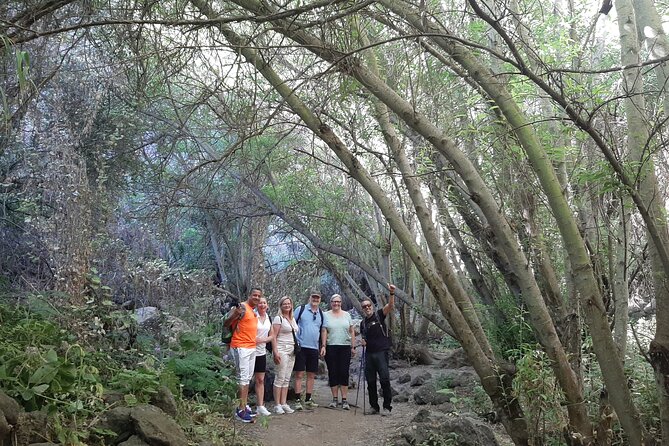 Hiking in Waterfalls & Rainforest with local guides: Sky Rebels - Should you book Sky Rebels for Gran Canaria waterfalls?