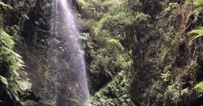 La Palma: North Island Bus Tour with Ron Aldea Distillery - Pickup, Start Times, and How the 8-Hour Clock Really Works
