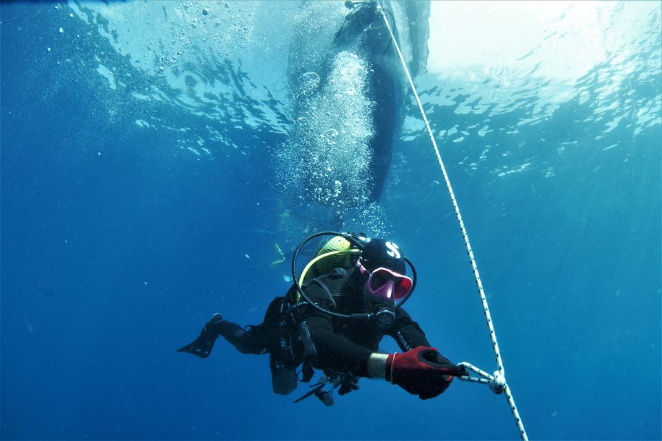 Las Palmas: 2-Day Padi Scuba Diving Course - Your PADI manual and theory time: practical learning, not homework hell
