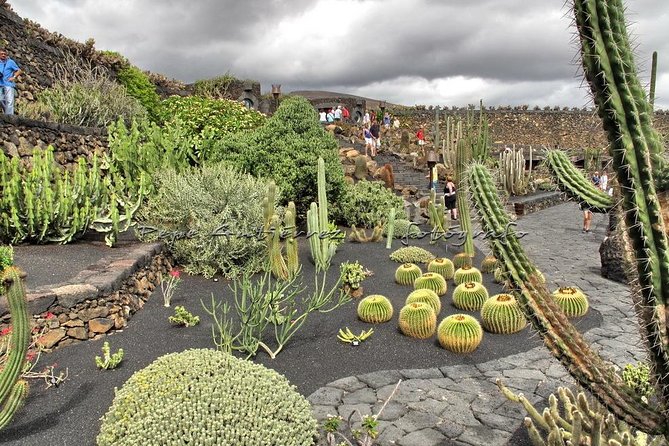 Las Palmas, Botanical Garden & Bandama Crater tour - Gran Canaria - Price and what you really get for $37