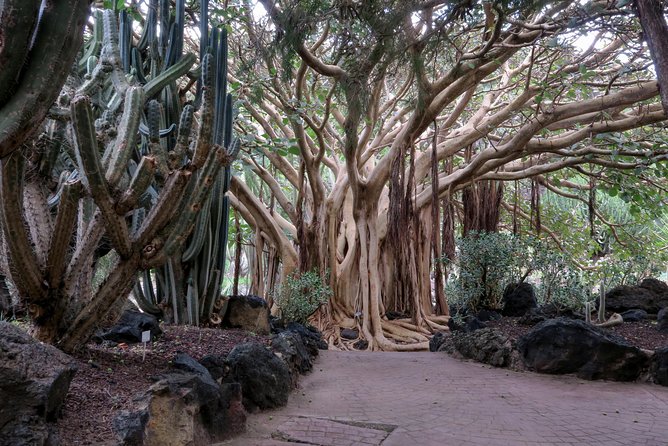 Las Palmas, Botanical Garden & Bandama Crater tour - Gran Canaria - Playa de Las Canteras and Las Arenas: your 2-hour beach + lunch window
