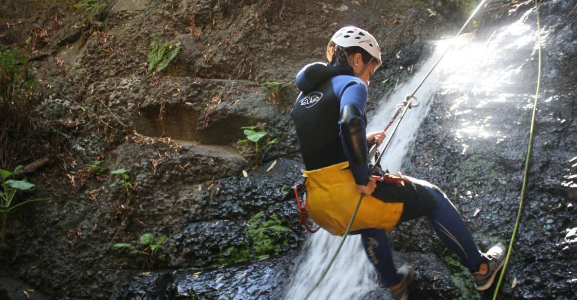 Las Palmas, Gran Canaria: Canyoning Adventure - Why Barranco de los Cernícalos Feels Different in Gran Canaria
