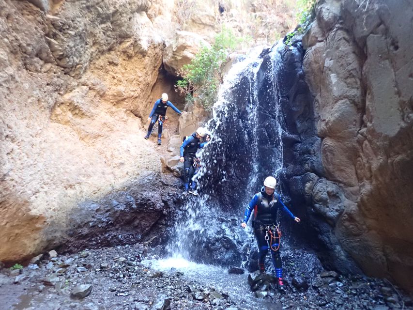 Las Palmas, Gran Canaria: Canyoning Adventure - Nature Details That Make the Route Worth It
