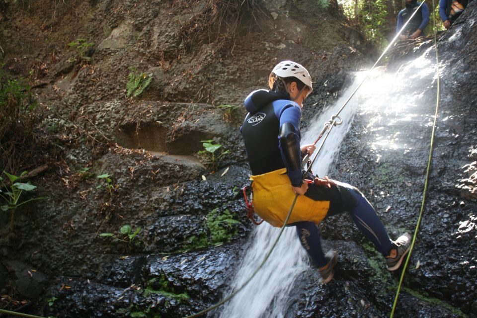 Las Palmas, Gran Canaria: Canyoning Adventure - Price and What $77 Actually Buys You