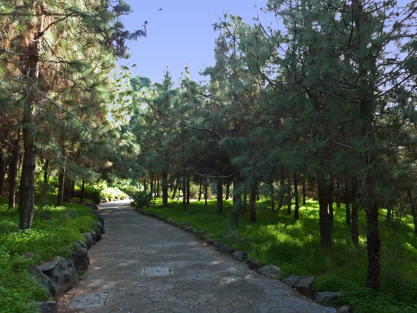 Las Palmas: Privat Botanic Garden Tour & opt. hike Extension - Key takeaways before you go