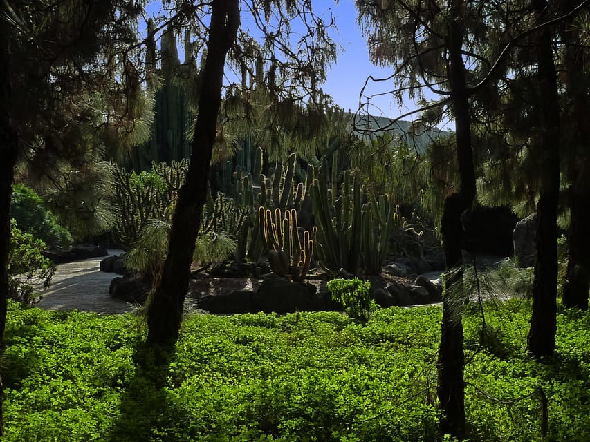 Las Palmas: Privat Botanic Garden Tour & opt. hike Extension - Your 1.5-hour walk: what you’ll actually see inside the garden