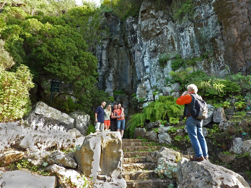 Las Palmas: Privat Botanic Garden Tour & opt. hike Extension - The Guiniguada ravine: where rare Canary plants live