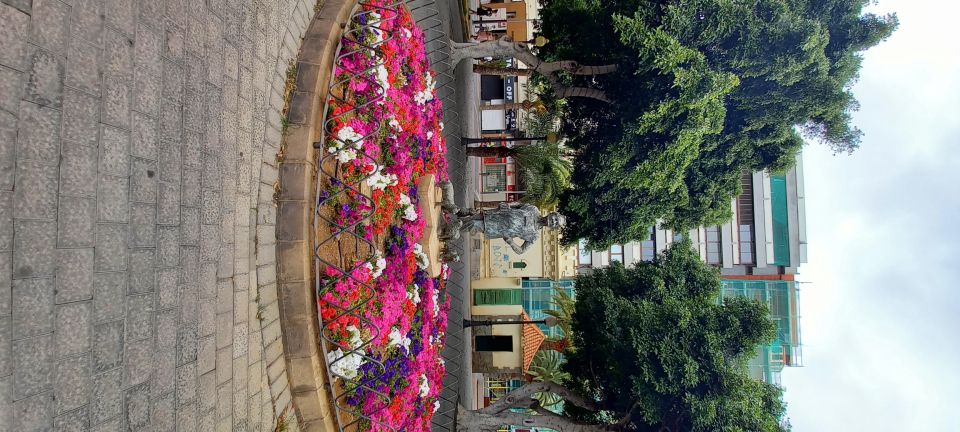 Las Palmas: Private City Highlights & Northern Villages Tour - Key highlights at a glance