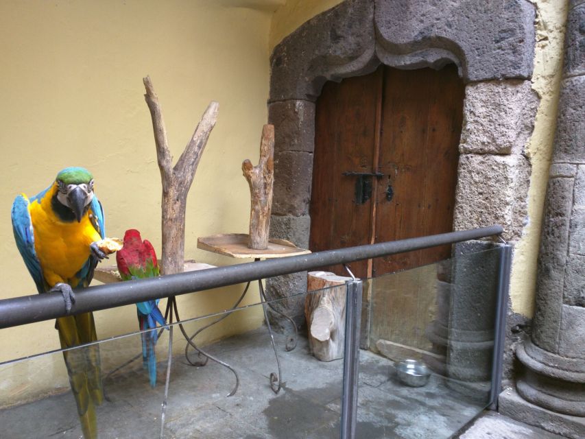 Las Palmas: Private Old City Guided Walking Tour with Tapas - The local guide factor: why the stories land