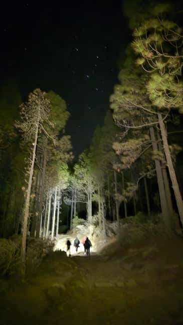 Las Palmas: Sunset & Night Sky Guided Astronomy Hiking Tour - Should You Book This Tour?