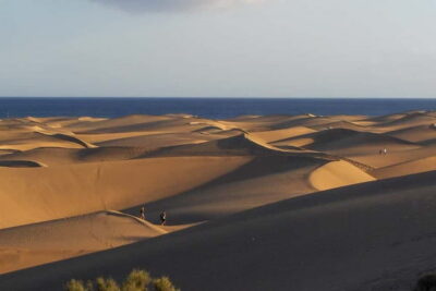 Maspalomas: 1 Hour Segway Sightseeing Tour - Segway rules you should check before you go